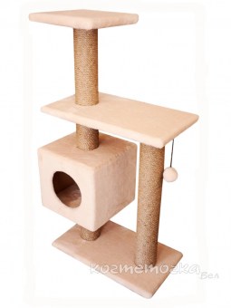 cat-026b